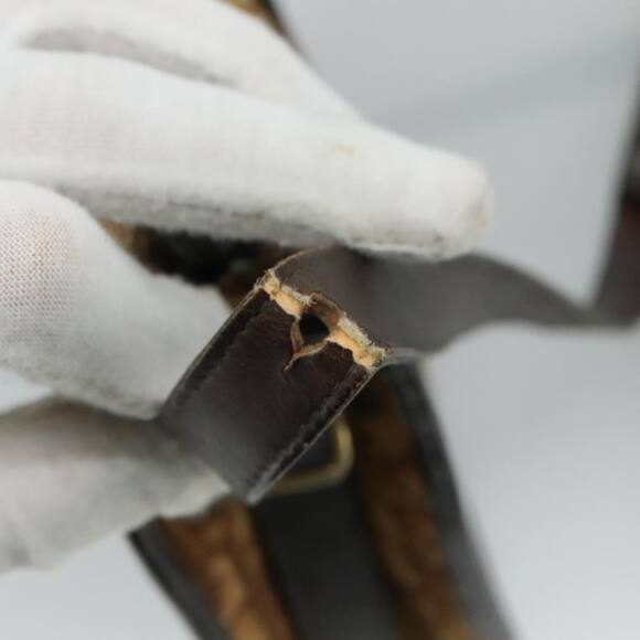 DIOR Trotter Canvas Shoulder Bag Brown - Picture 9 of 12